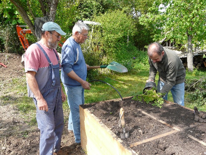 Le cerfeuil musqué est le premier à être planté dans le bac A